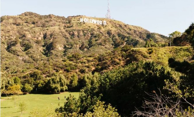 hollywood