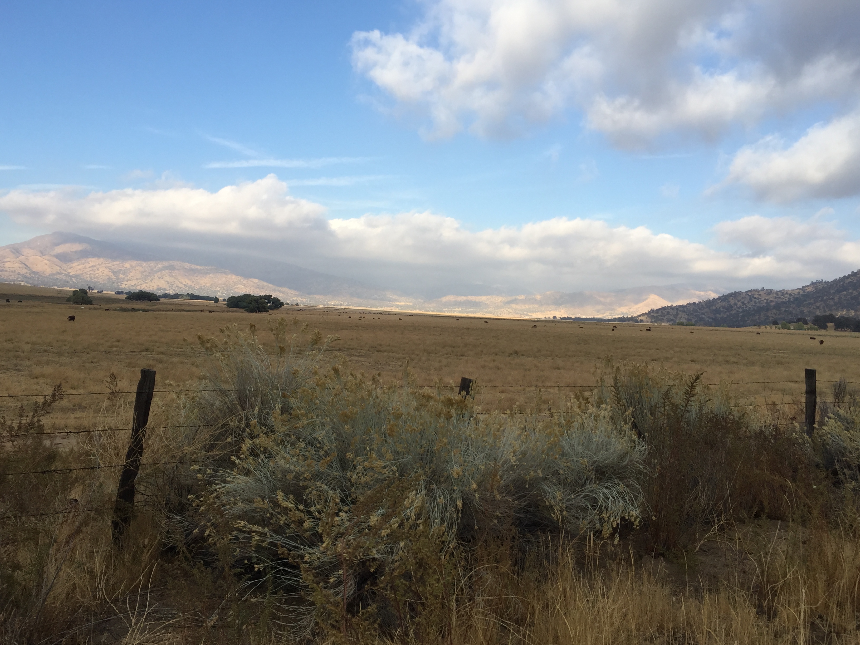 Walker Basin Real Estate through Walker Basin Ranch and Home