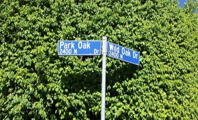 Sign Park Oak