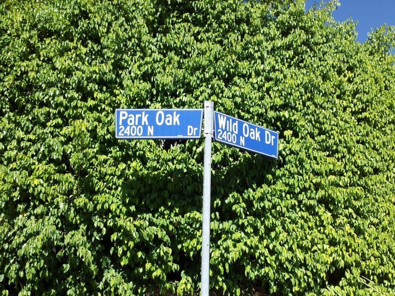 Sign Park Oak
