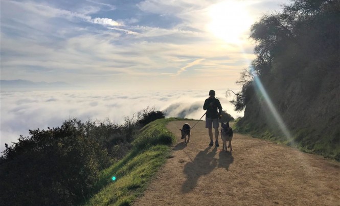 hELEN HIKE