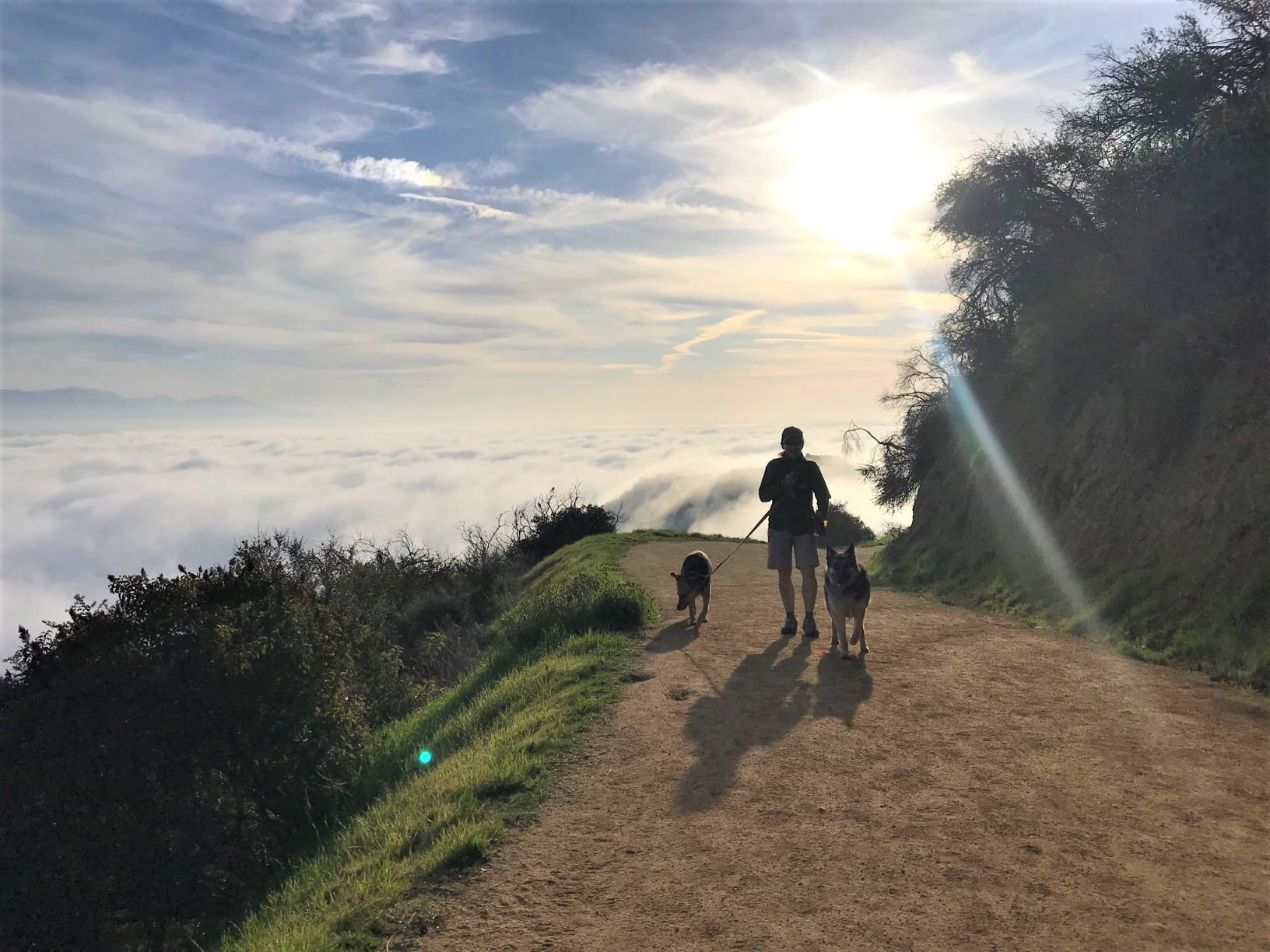 hELEN HIKE