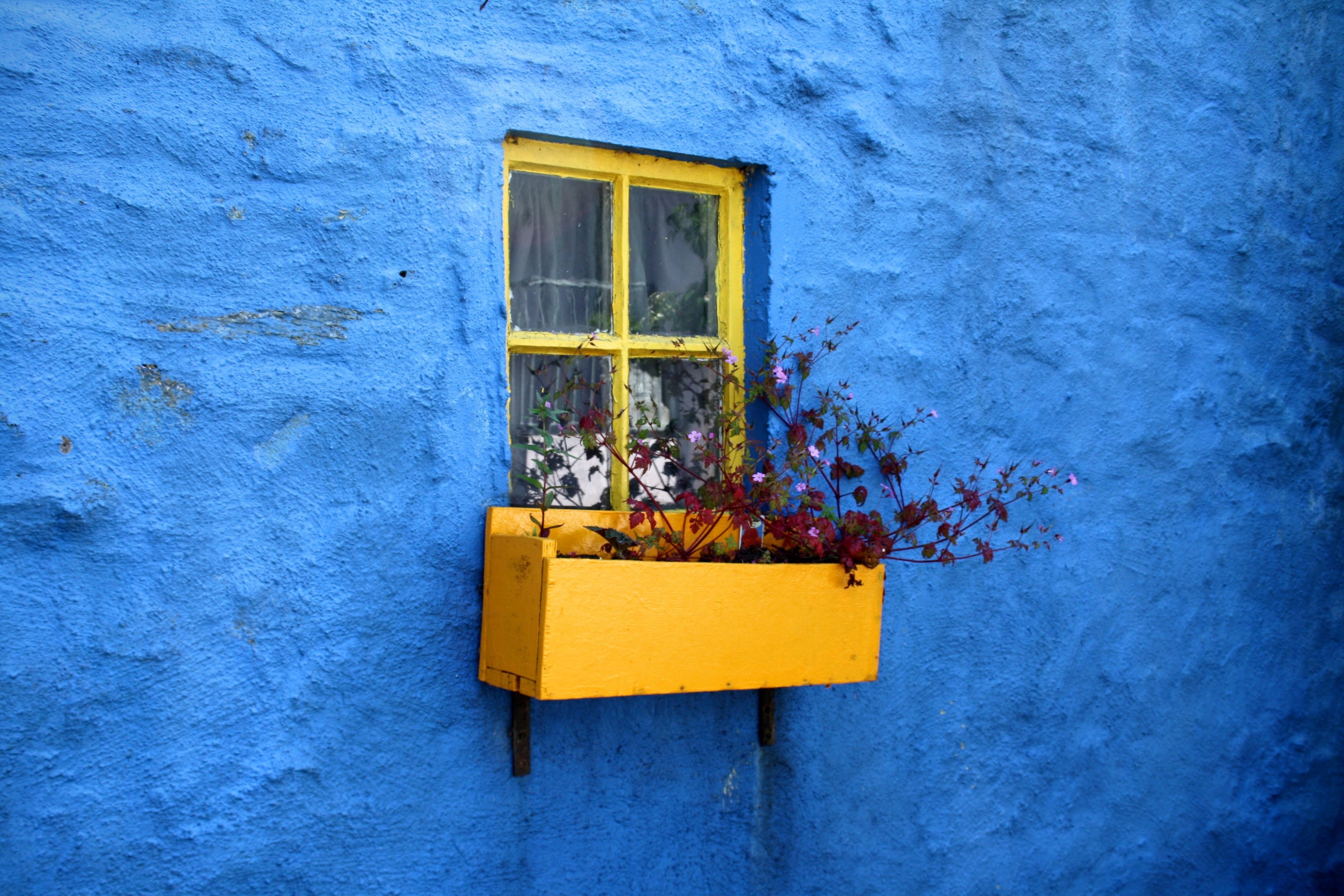 Photo of yellow window box on blue house
