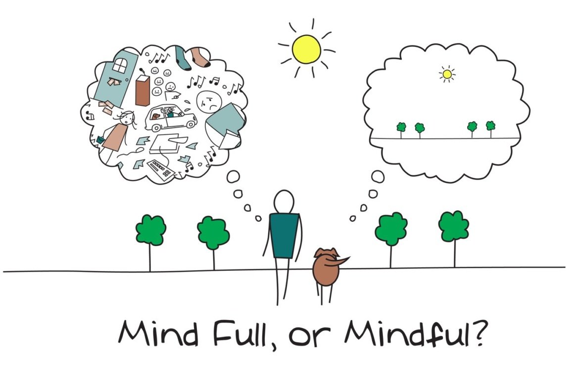 mindfull mindful