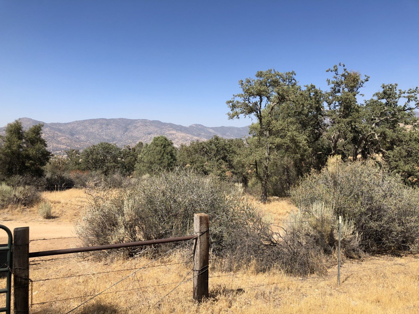 Walker Basin Real Estate through Walker Basin Ranch and Home