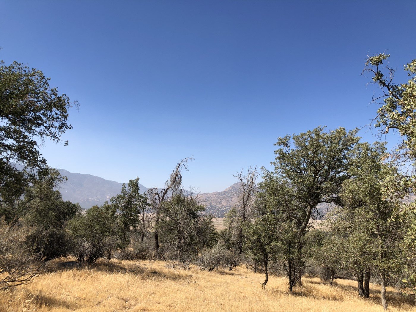 Walker Basin Real Estate through Walker Basin Ranch and Home