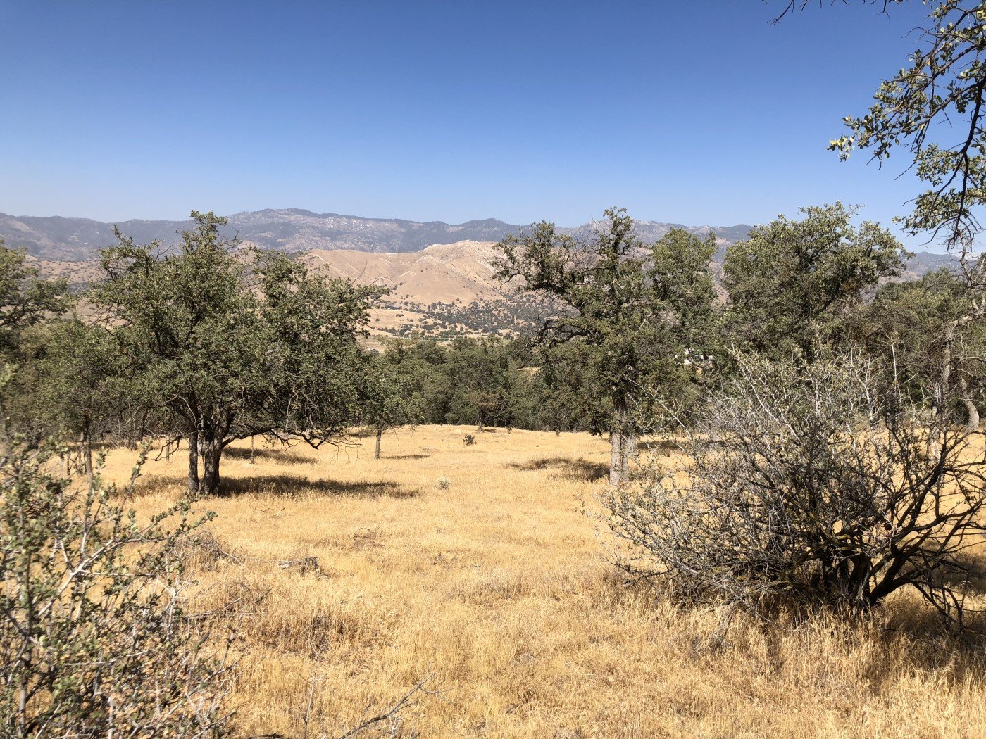 Walker Basin Real Estate through Walker Basin Ranch and Home